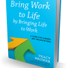 Peak Work Performance Summit Special Offer: Bring Work to Life Sample Chapter + Discount