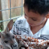 Moment of Happiness: My Grandson and the Kangaroo